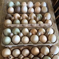 Fresh Farm Eggs