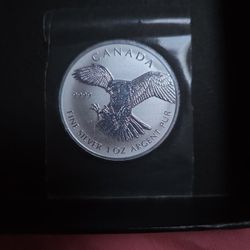 1 Ounce Silver Coin