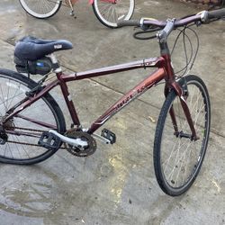 Trail Bike 
