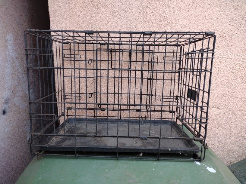 Dog Animal Cage
