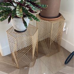 Plant Stand End Table (2)