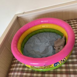 Inflatable Kids pool