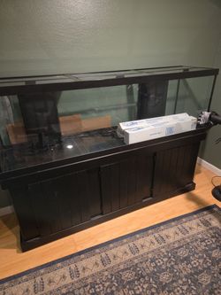 Brand new 125 gallon salt water aquarium