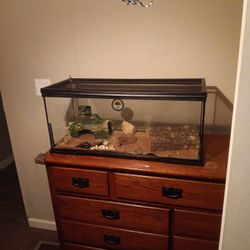 40 Gal Breeder Fish Tank 