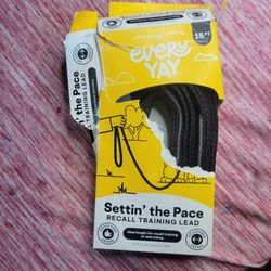 15ft Leash