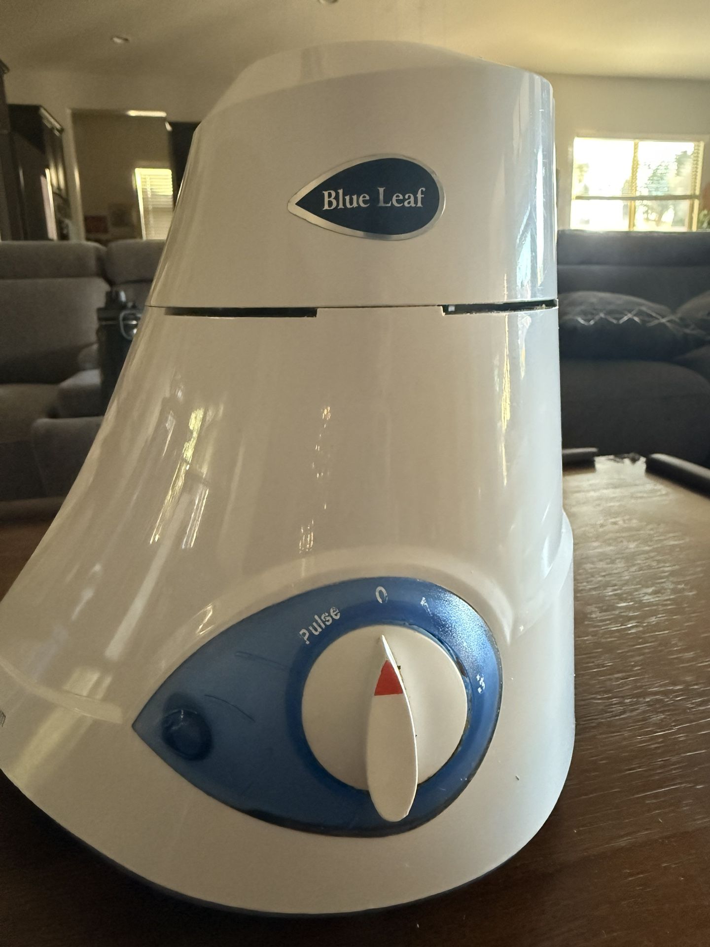 Preethi Mixer 110V US model with three jars