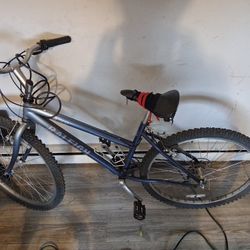 Good Bike Works Good 