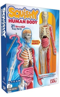 Toys Squishy Human Body with 21 Removable Body Parts with Anatomy Book