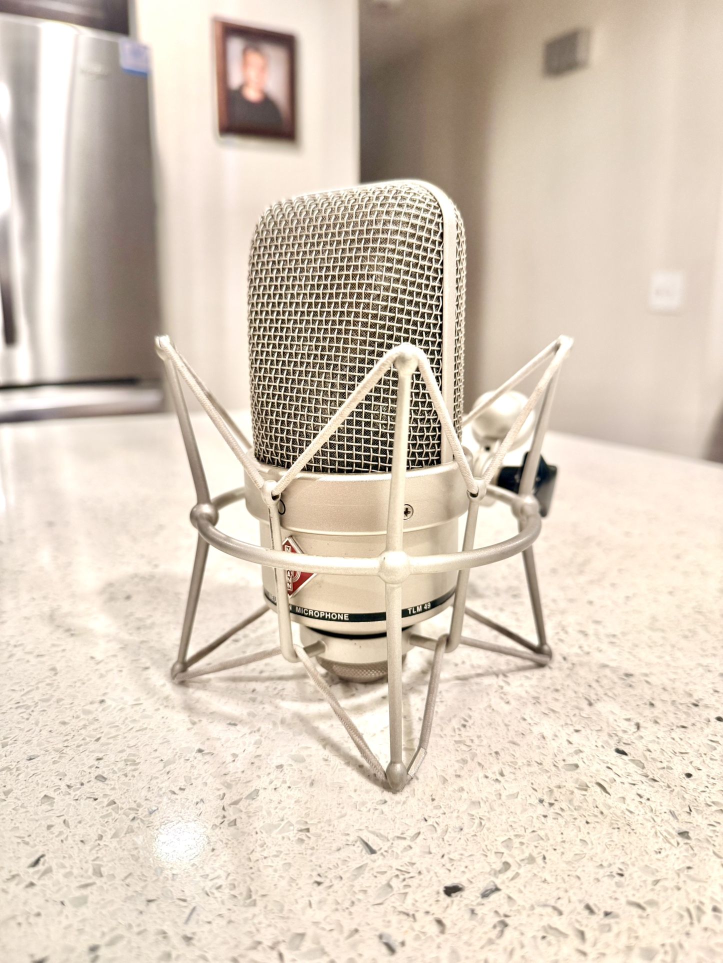 Neuman TLM49 Large Diaphragm Mic
