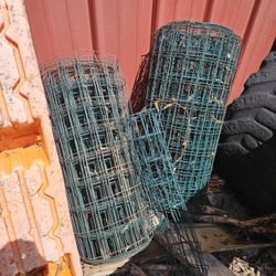 Wire Fence 