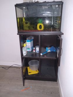 Fish Tank And Accessories 