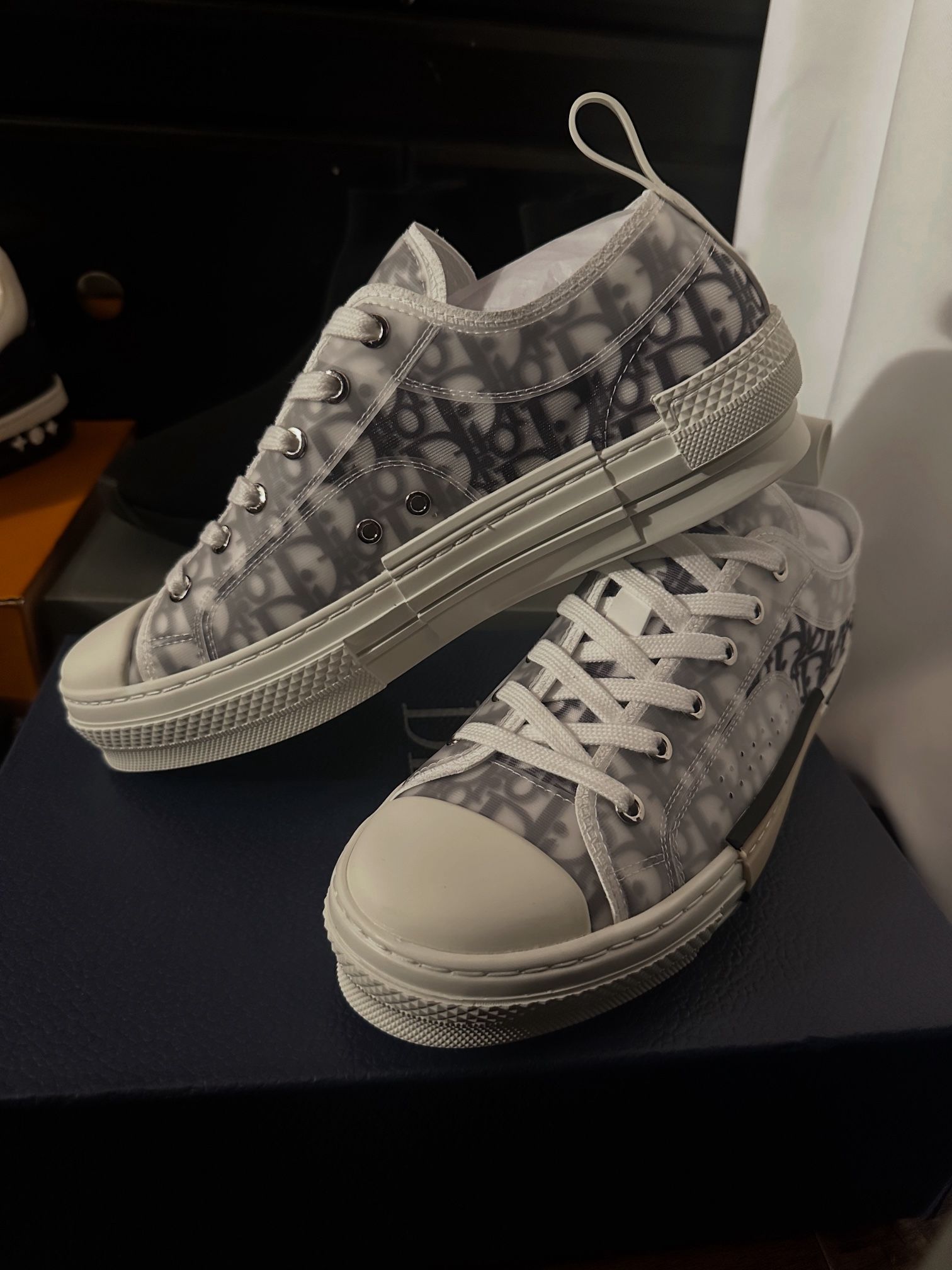 dior b23s