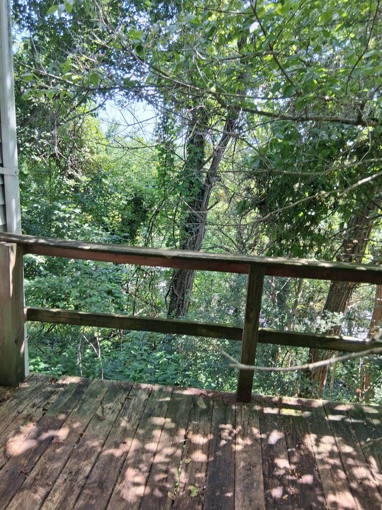 Free Tree's If You Cut Down