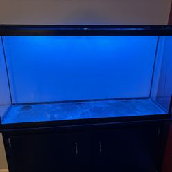 60 Gallon Aquarium, Stand, & Accessories
