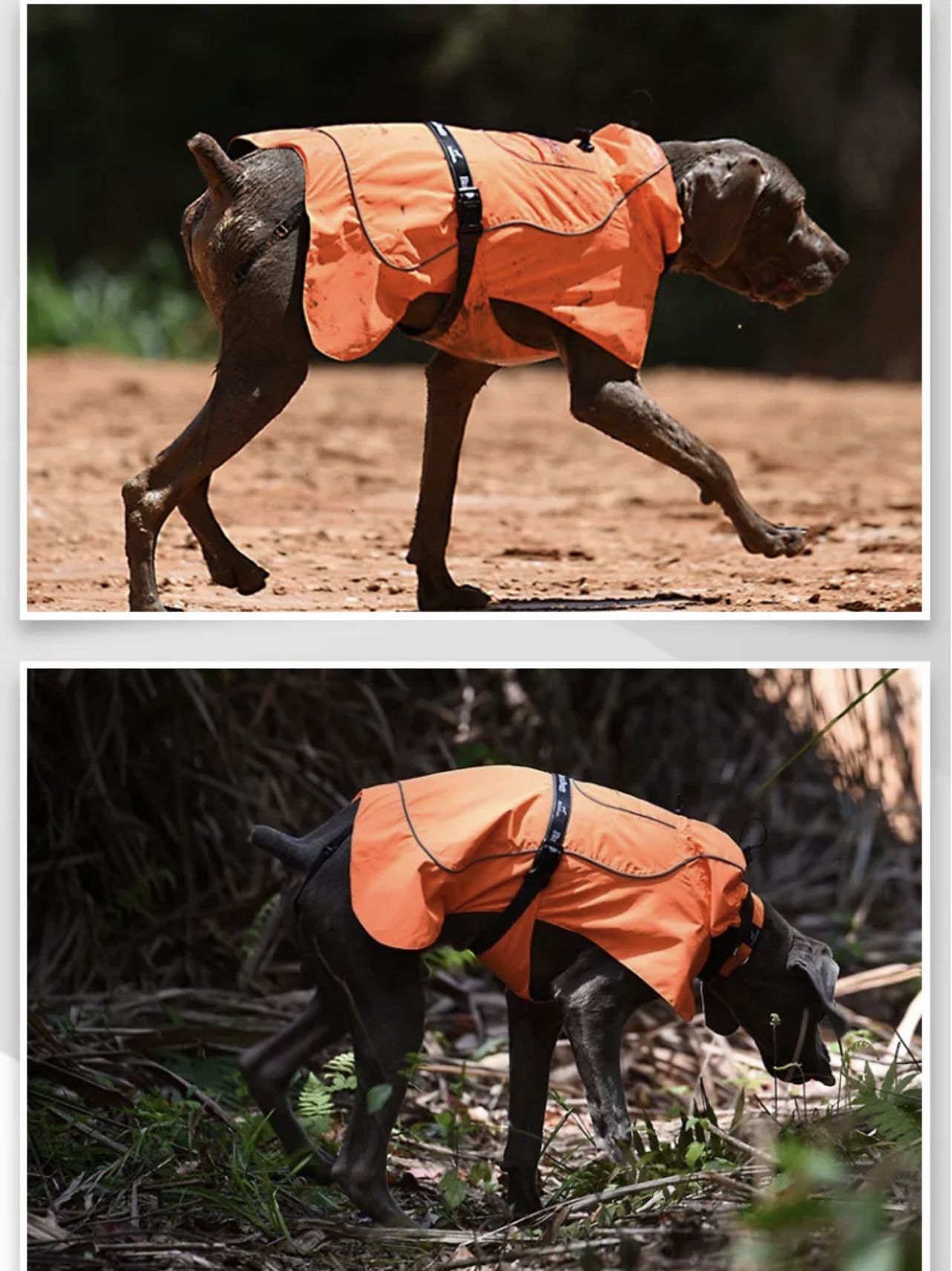 Brand New Dog Rain Coat
