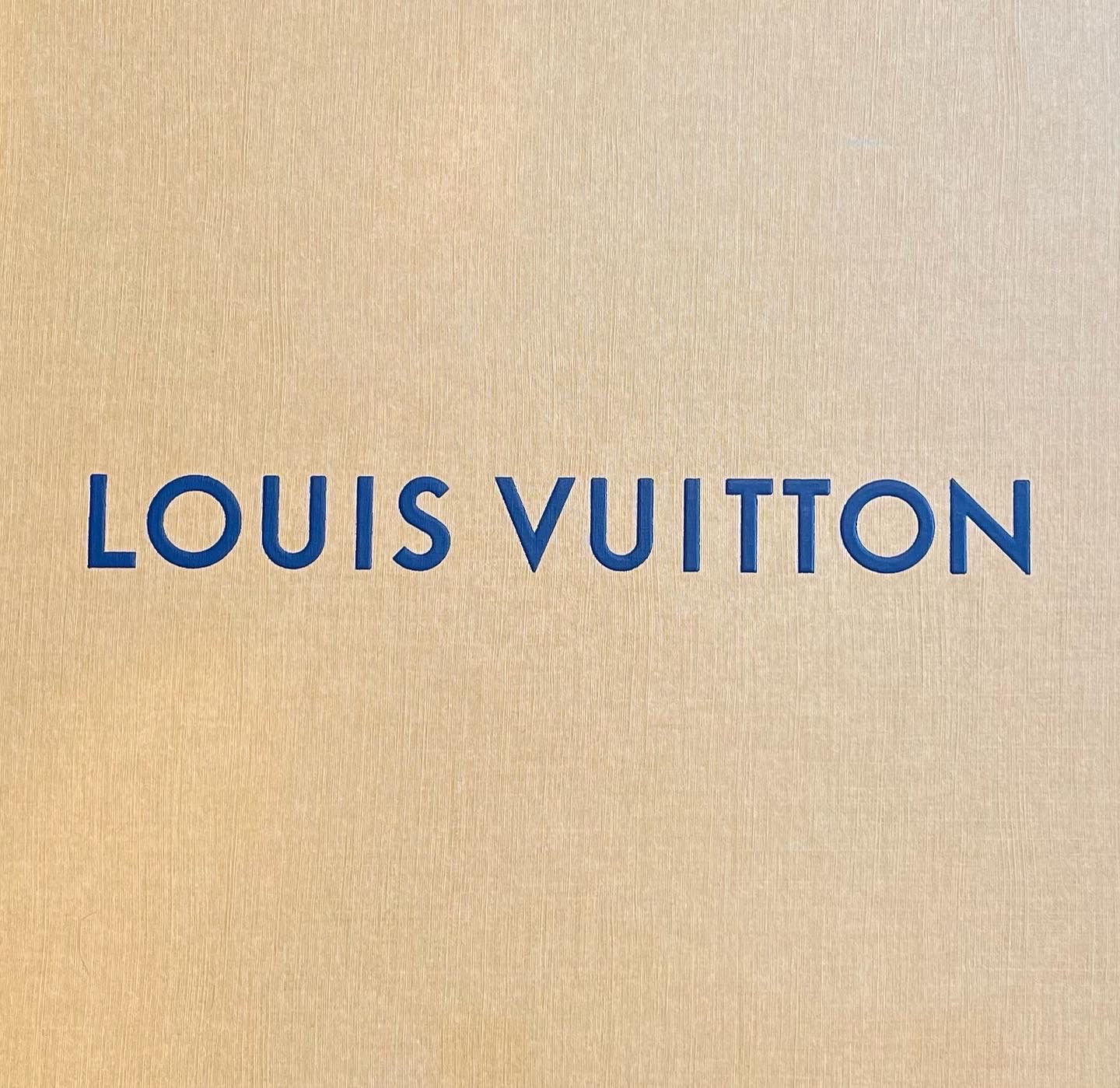 Mua Túi Xách Nữ Louis Vuitton LV Pochette Métis East West