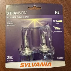 H7 Low Beam Headlight Bulb