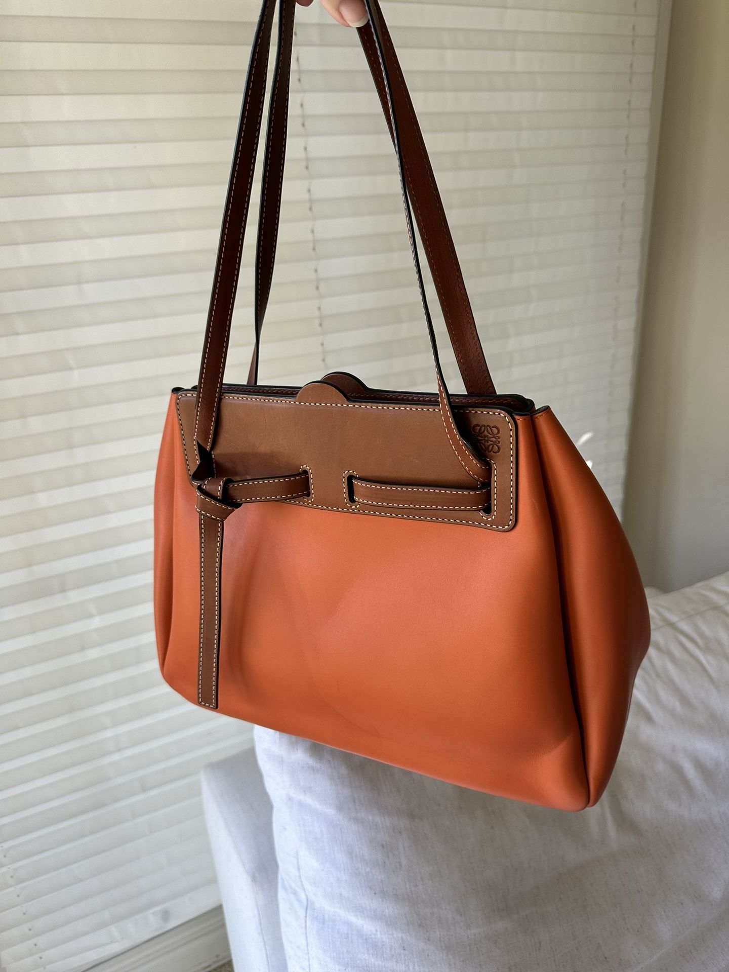 Loewe Tote Bag, 100% Authentic