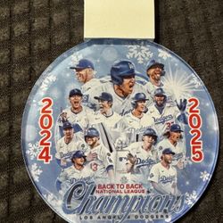 Light Up Ornaments
