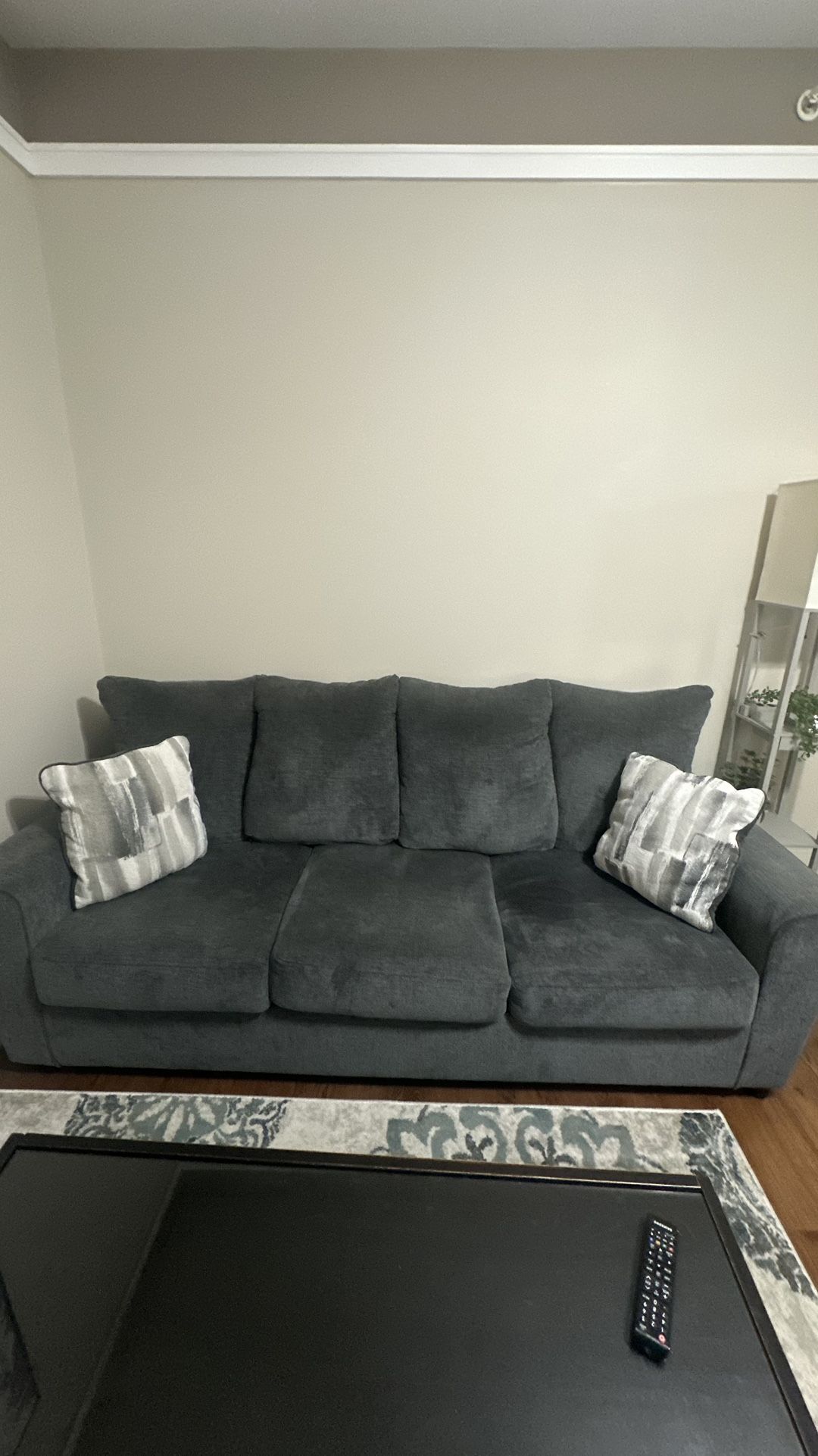 Complete living room suit, sofa, loveseat, TV, stand coffee table, and rugs all included