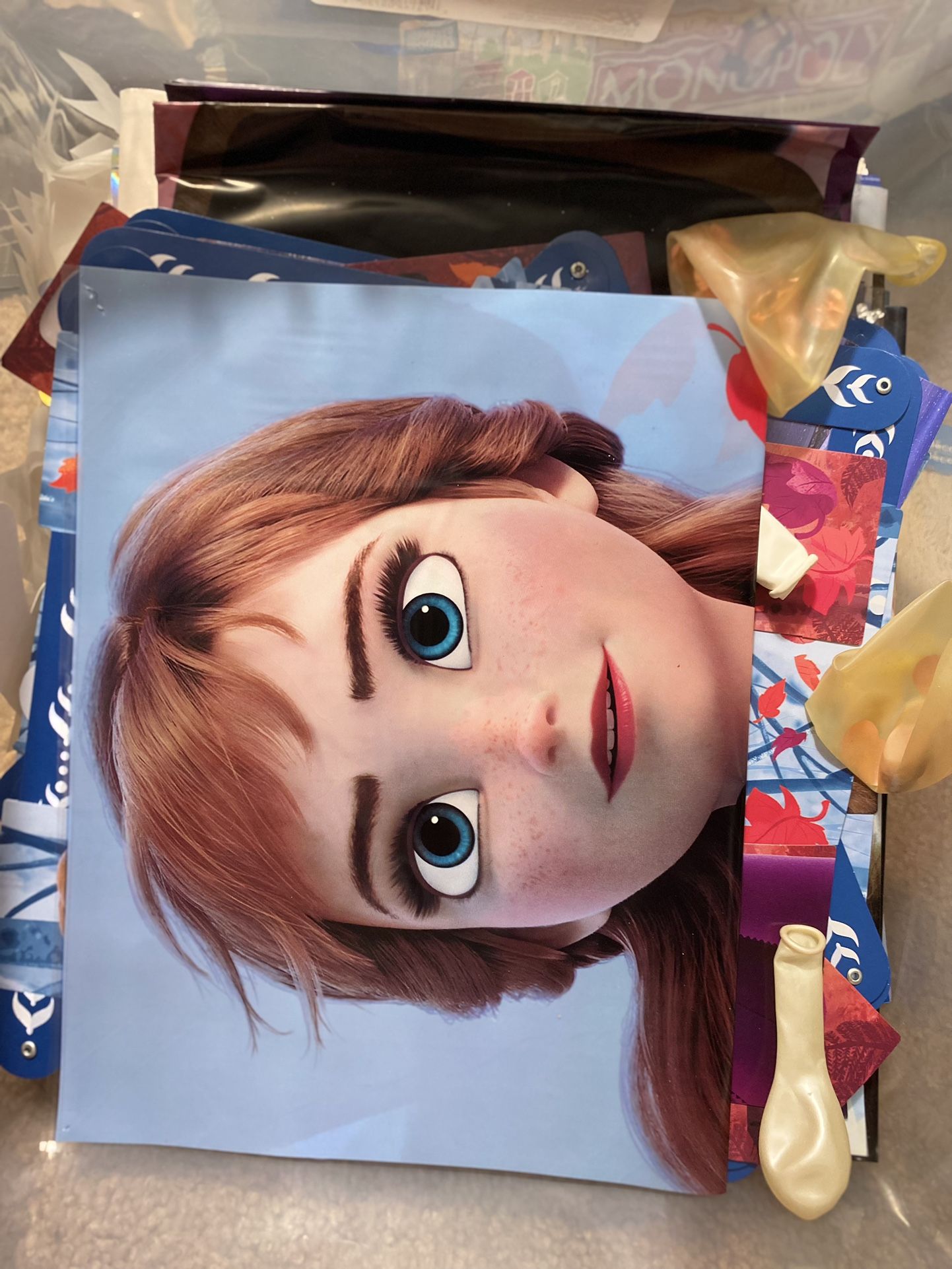 Elsa/Anna Party Decorations