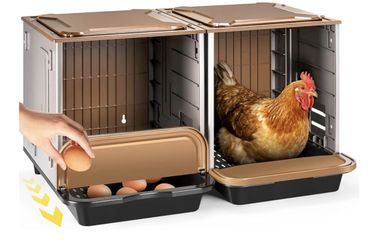 Chicken Nesting Box, 2 Compartment Nesting Boxes for Chickens, Large Chicken Laying Boxes