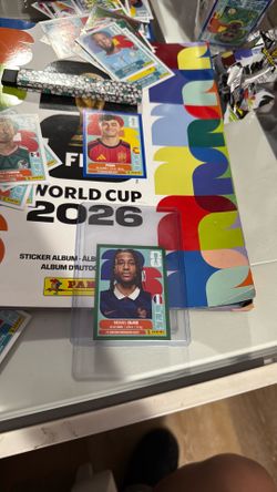FIFA World Cup panini sticker