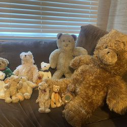Teddy Bear Collection 