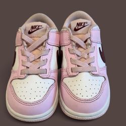 Toddler Nike Dunks 