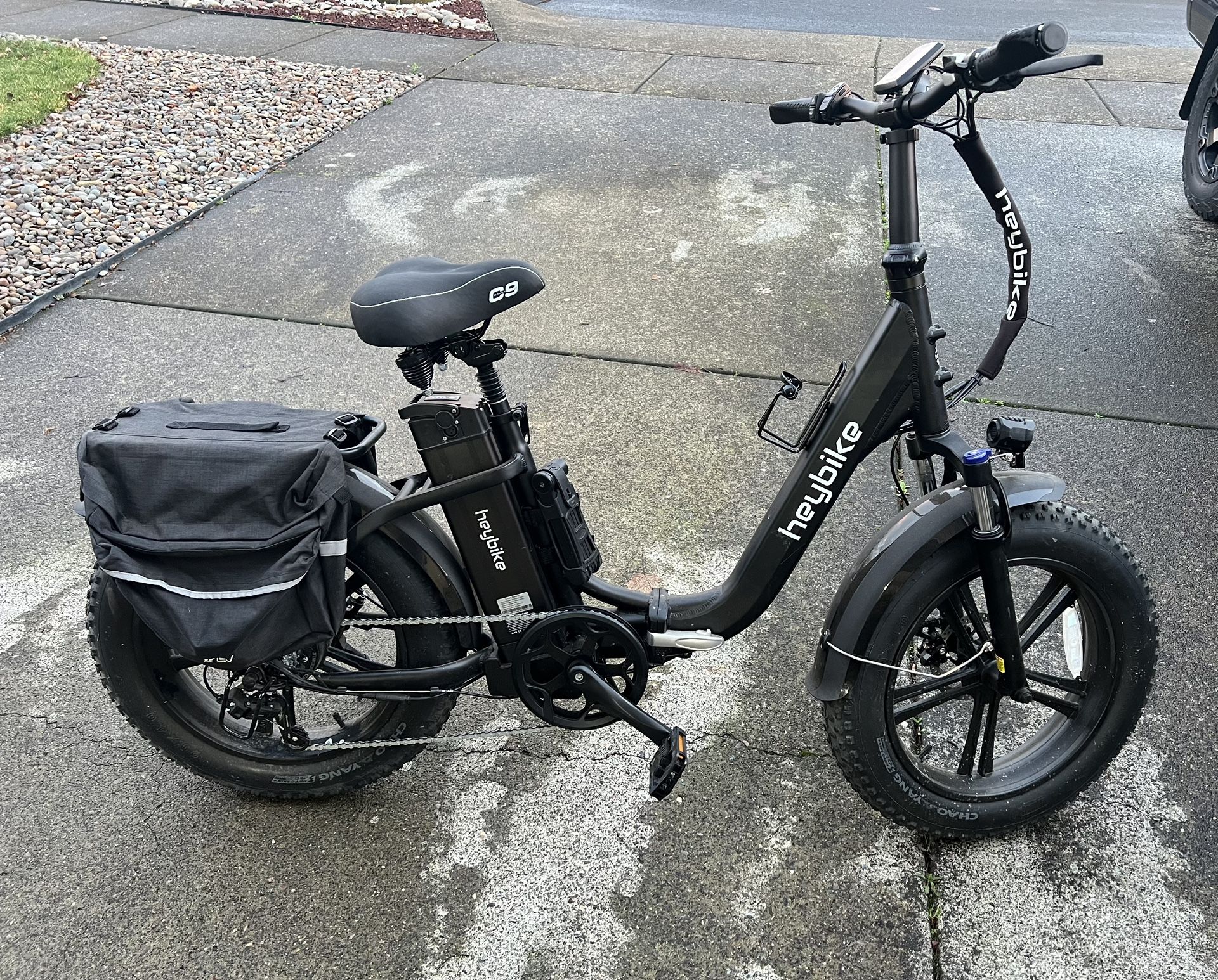 Electric Folding Bike