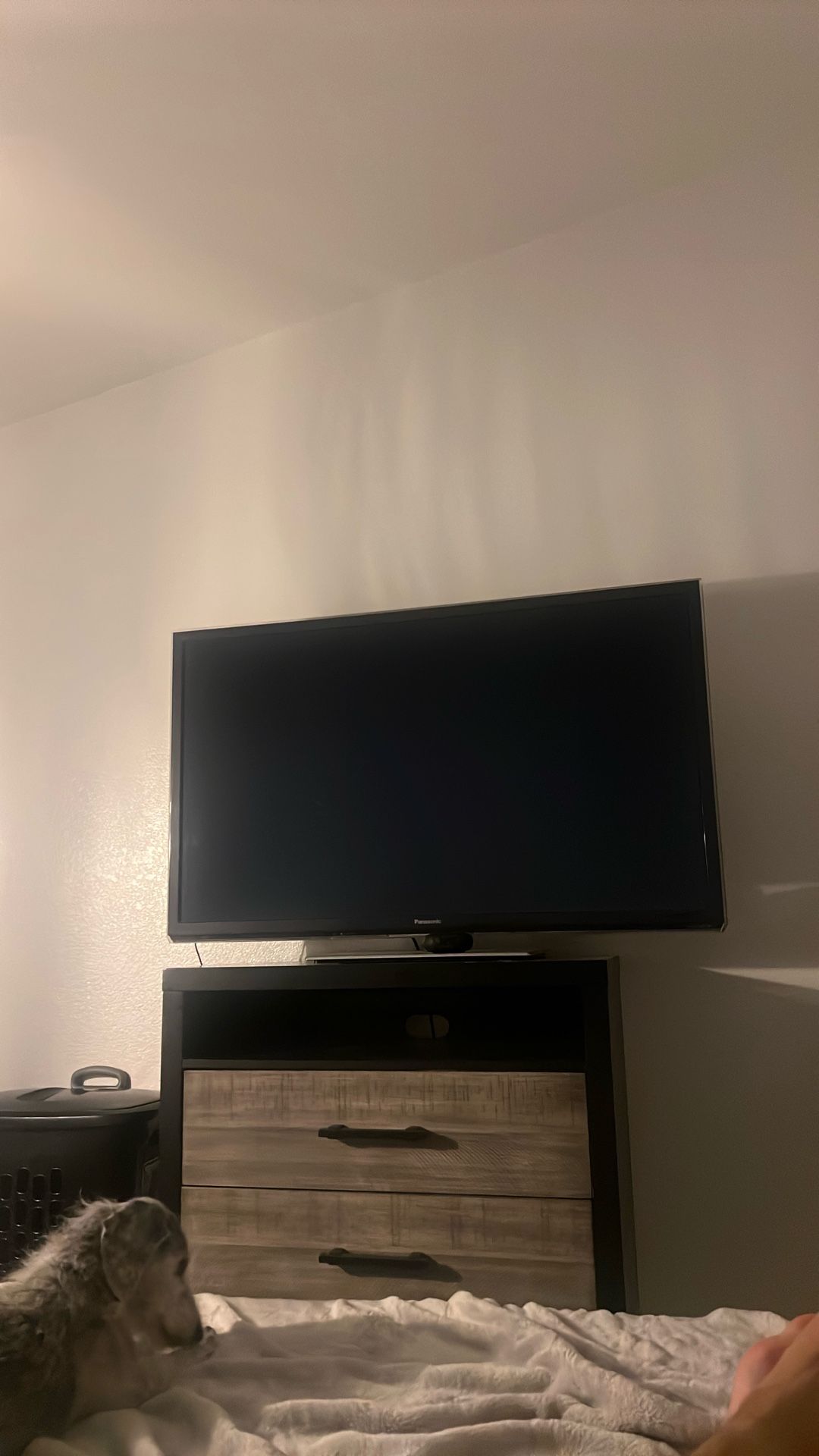 50 inch TV