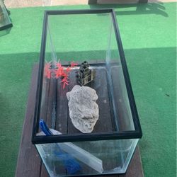 10 gallons aquarium