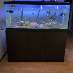 75 Gallon With Storage Stand