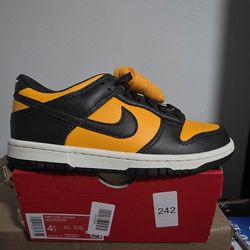 Brand new Nike dunk low youth