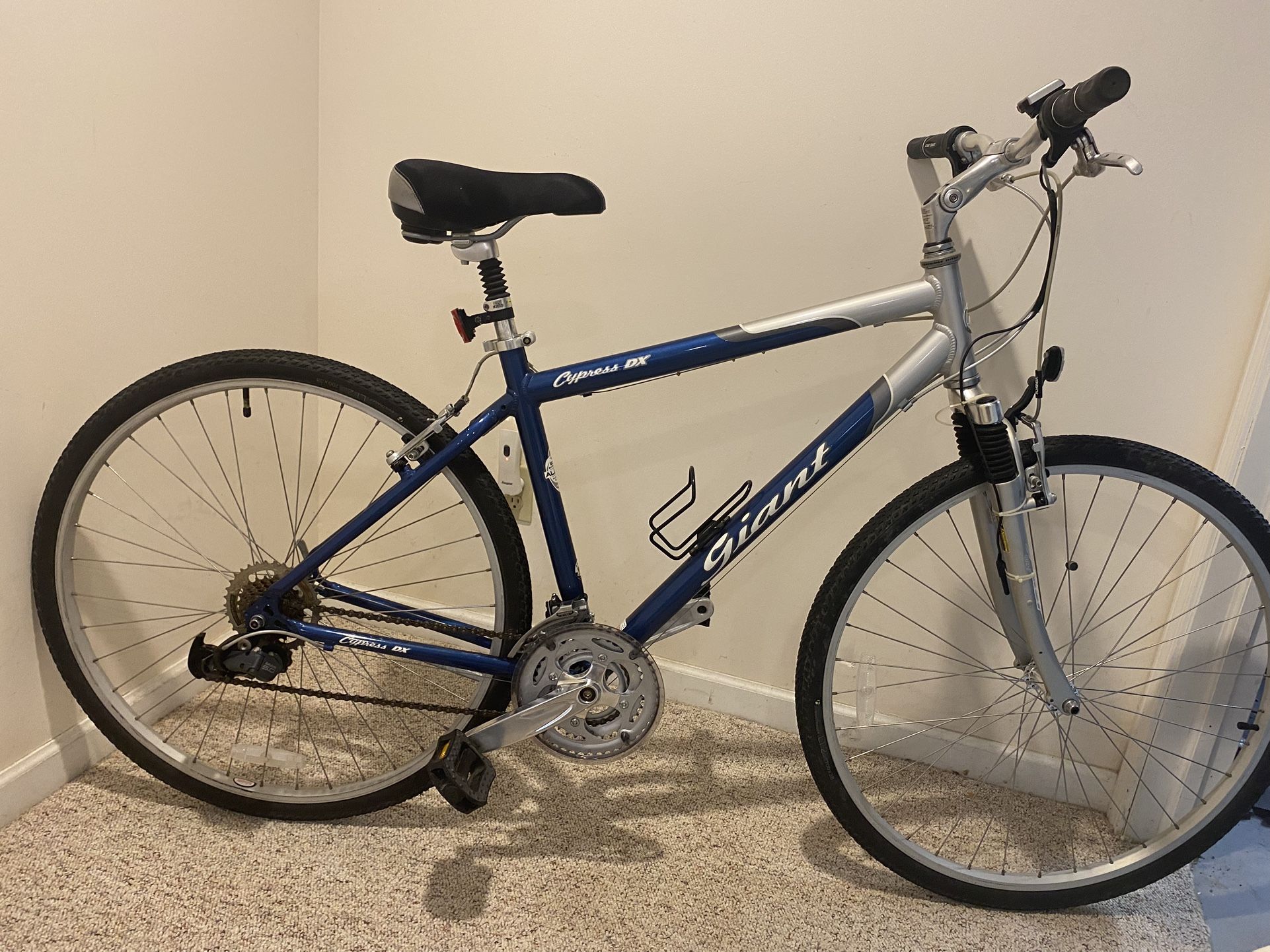 Mint Giant Cypress DX-Fully Serviced 