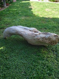 Natural Driftwood For Aquariums Terrariums Decor 