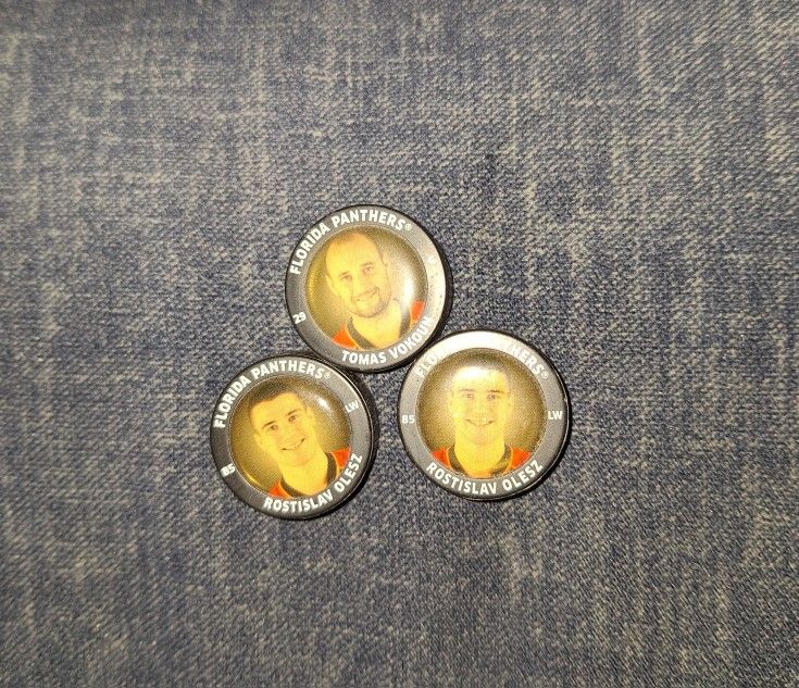 Florida Panthers Mini Pucks