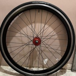 State fixed Gear Wheel 
