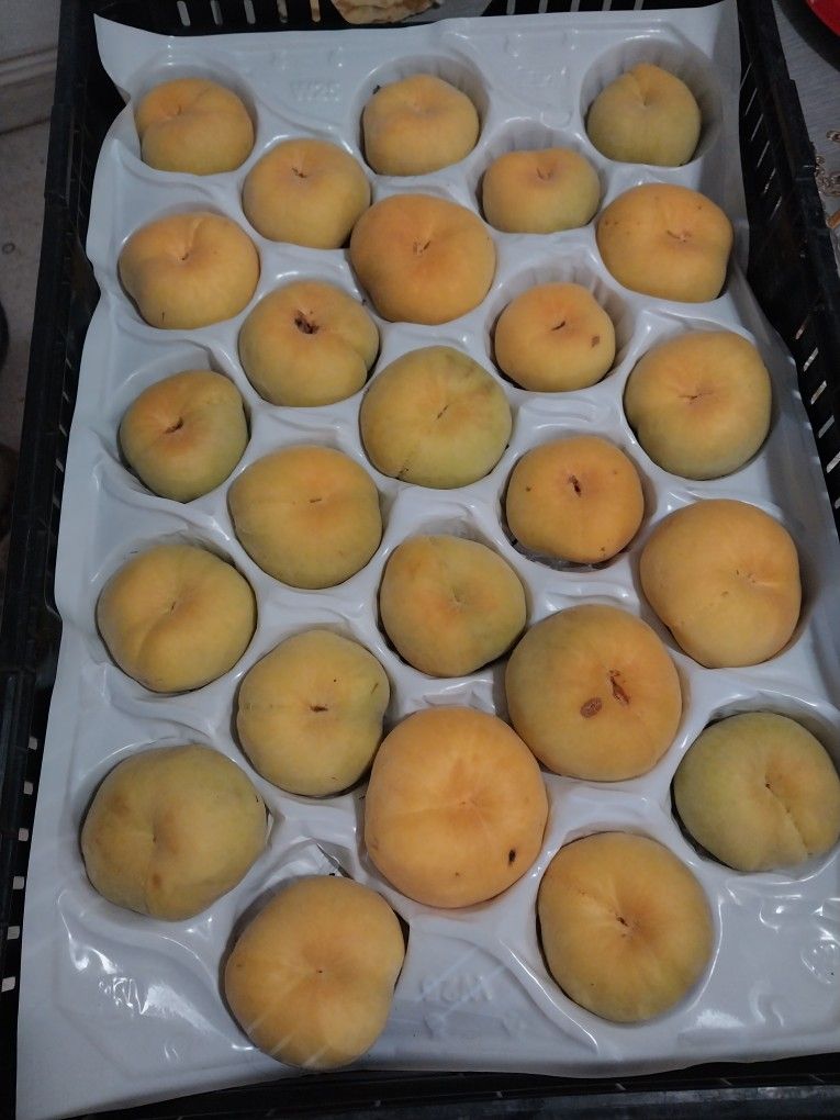 Durazno Dona Amarillo