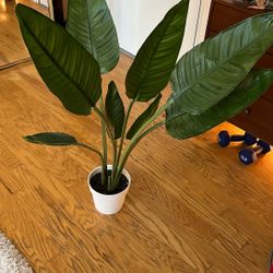 Fake plant - West Elm 