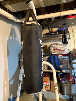 Everlast punching bag +speed bag