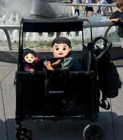 WonderFold W2 Elite Pro Stroller Wagon