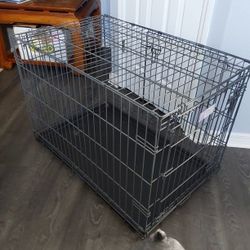 PUPPY KENNEL and TRAINER
