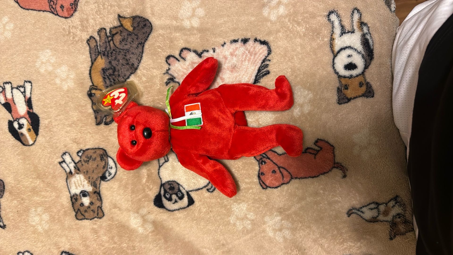 Ty Beanie Baby Mexico 1999 Vintage