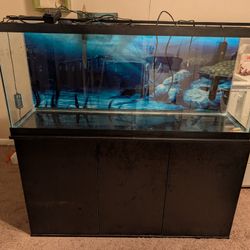 55 Gallon Tank And Accessories 