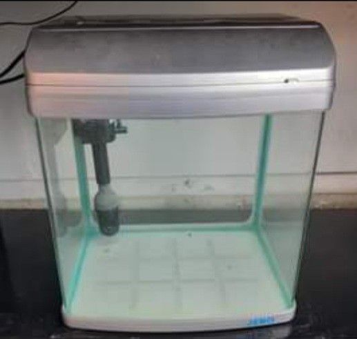 👍👍👍JEBO  R331 7 Gallons  Glass Aquarium