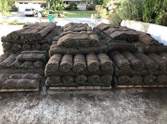 Pallets of Fresh Sod! Free Delivery!