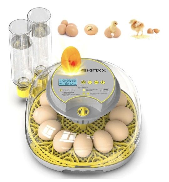 Egg Incubator: 12 Egg Capacity, Automatic Egg Turner, Temperature & Humidity Control, 360° Viewing for Chicken, Duck, and Quail Eggs