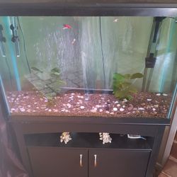 Fish Tank/aquarium  45 Gallon 