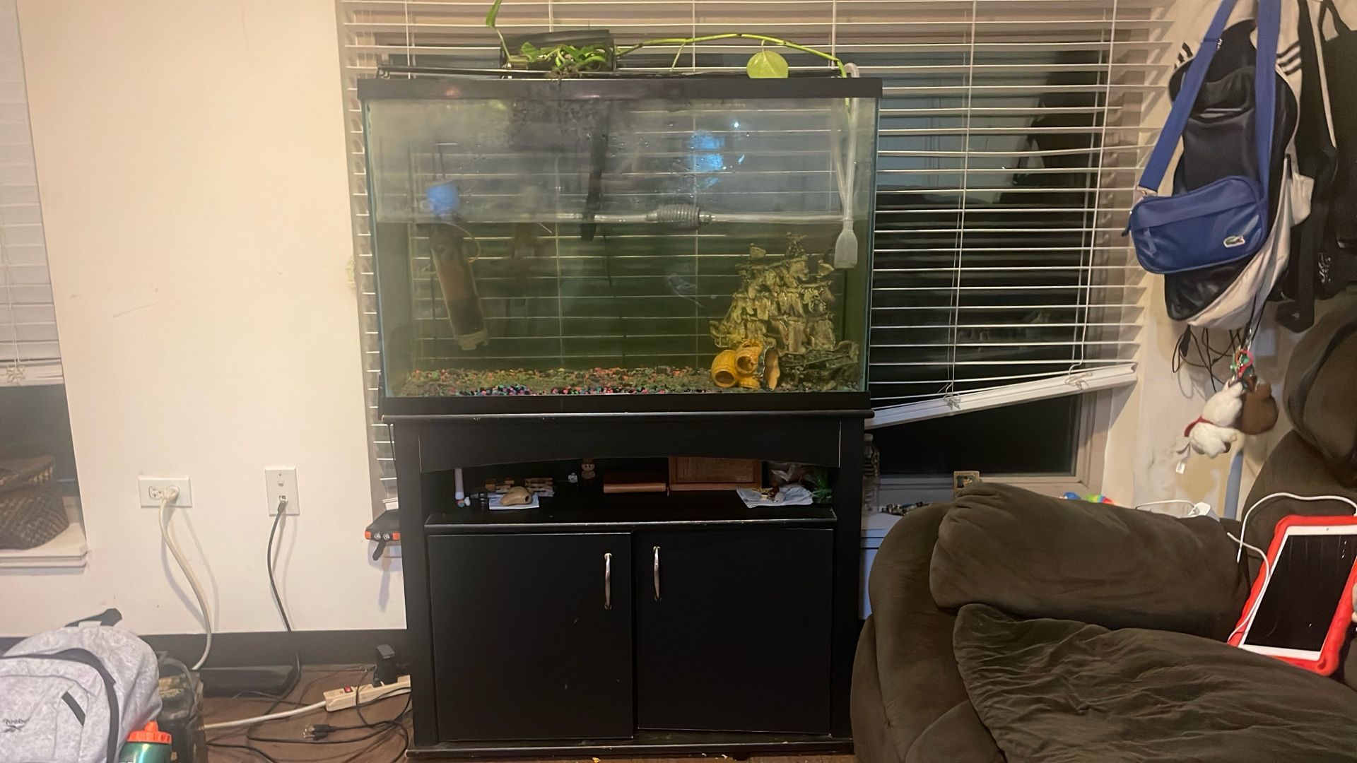 75 gallon tank with stand 